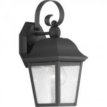 Progress P560010-031 - Kiawah Collection One-Light Small Wall-Lantern