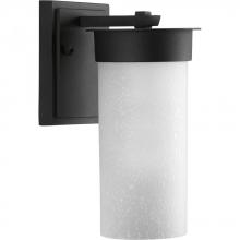 Progress P5624-31 - Hawthorne Collection One-Light Small Wall Lantern