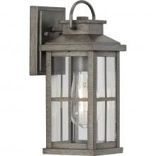 Progress P560264-103 - Williamston Collection One-Light Antique Pewter and Clear Glass Transitional Style Small Outdoor Wal