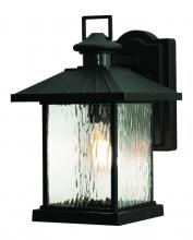 AFX Lighting, Inc. LNNW0914MBBK - LENNON OUTDOOR MEDIUM BASE 120V