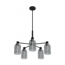 Hunter 19198 - Hunter Lochemeade Natural Black Iron with Smoked Glass 5 Light Chandelier Ceiling Light Fixture