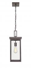 Millennium 42607-PBZ - Barkeley 1-Light Outdoor Hanging Lantern Powder Coated Bronze